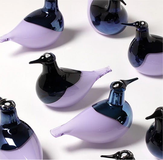 Birds Oriol ライトライラック