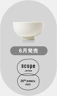 scope 25v. 2025