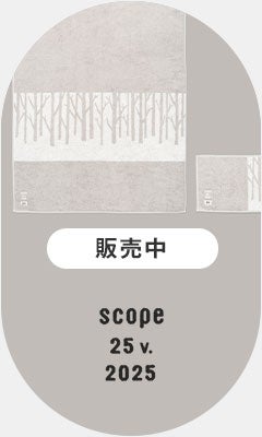 scope 25v. 2025