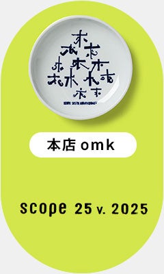 scope 25v. 2025