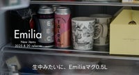 エミリア8/13