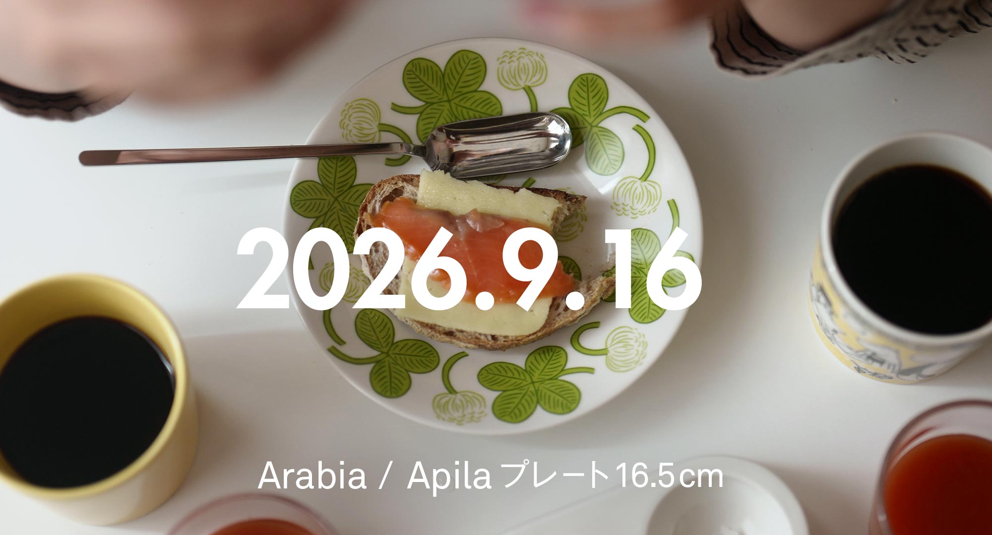 Apilaプレート16.5cm