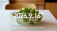 Apilaオーバルボウル23cm