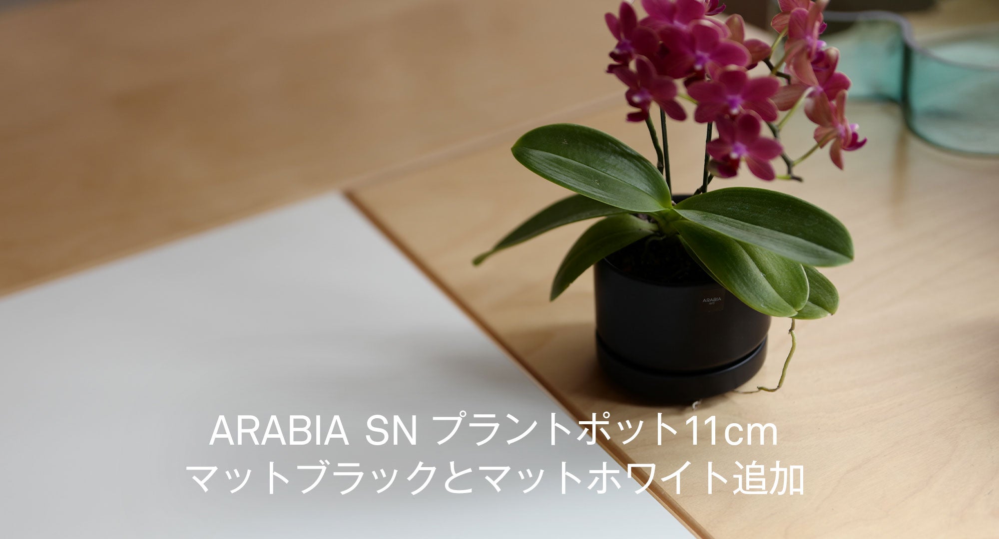 SNプラントポット
