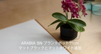 SNプラントポット