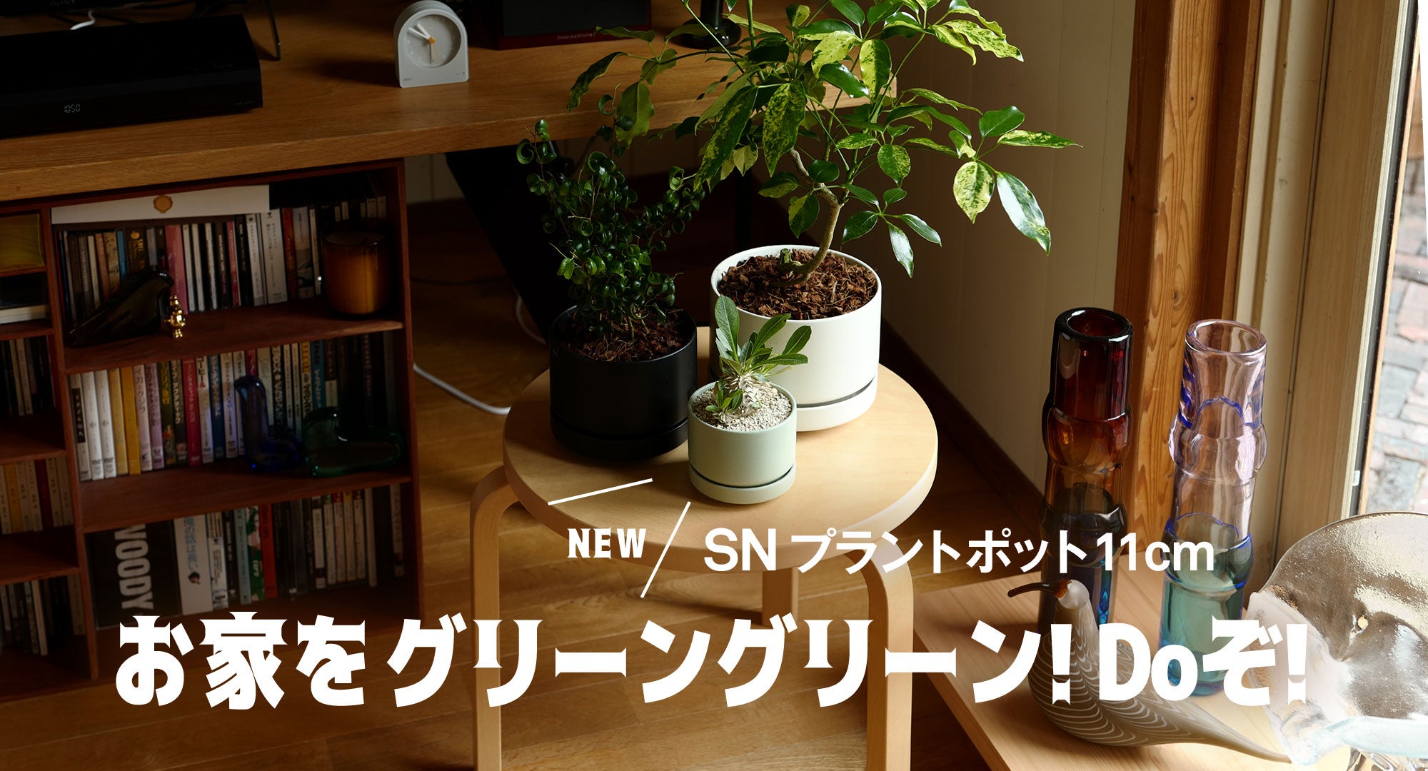 SNプラントポット
