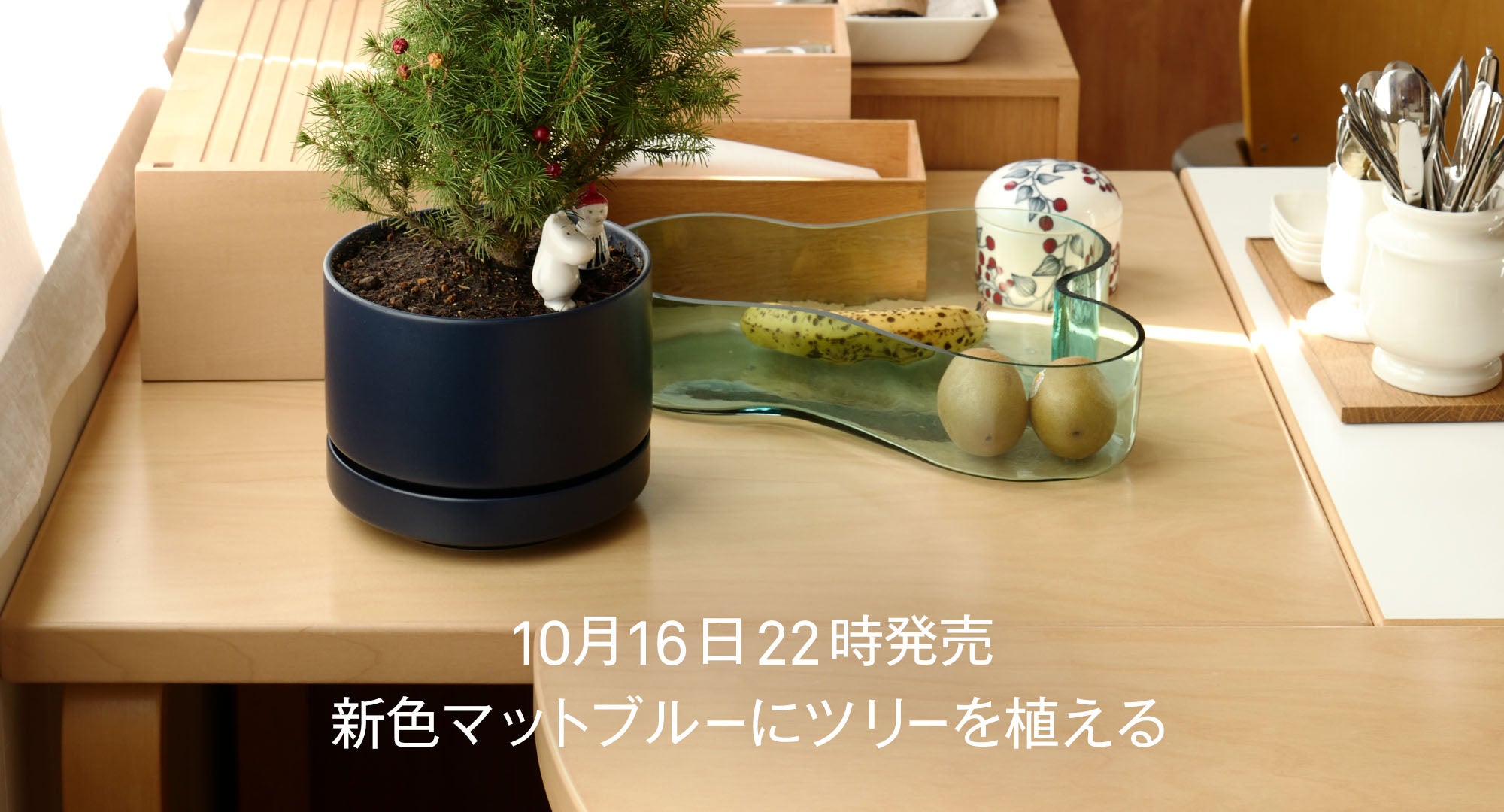 SNプラントポット