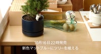 SNプラントポット