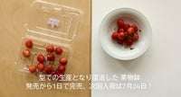 果物鉢