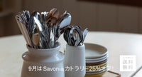 Savonia