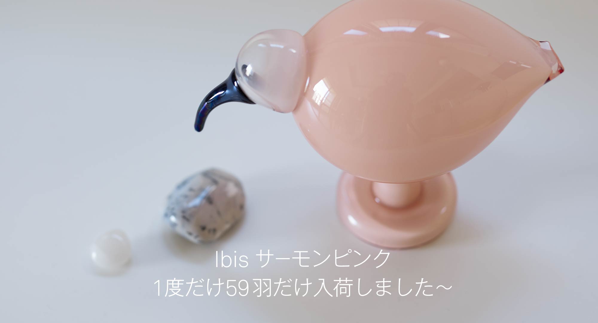 Ibis