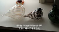 ヨタカ