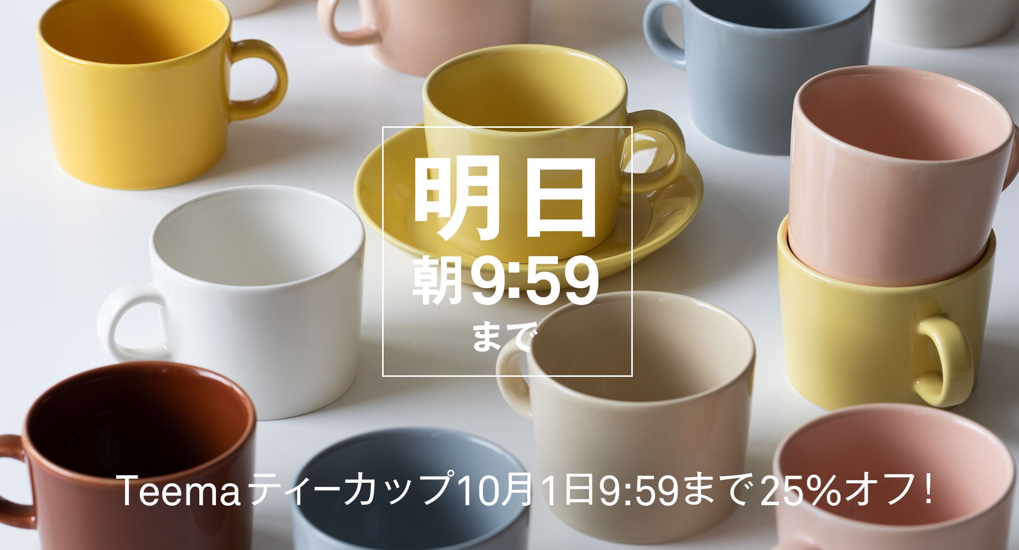 Teemaティーカップ1日