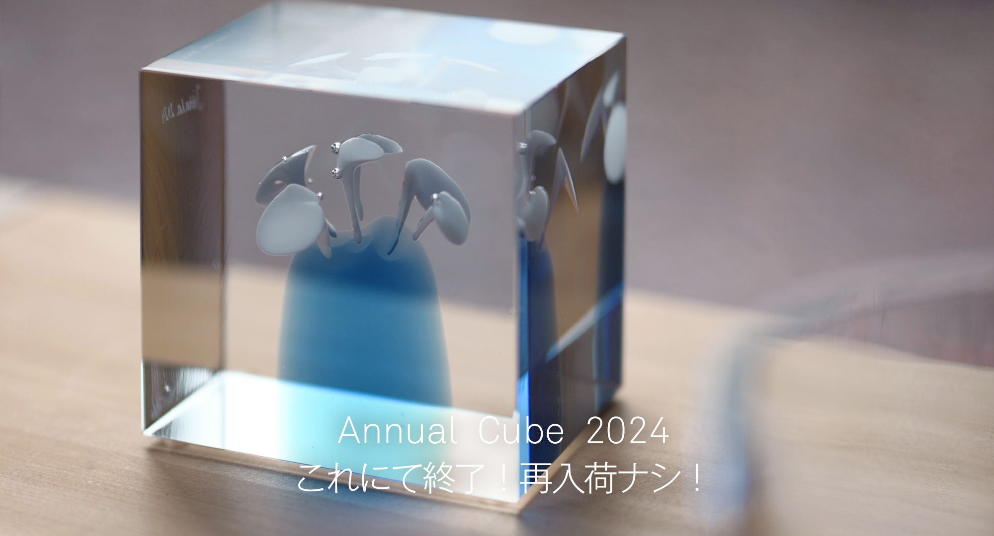 Annual Cube 2024