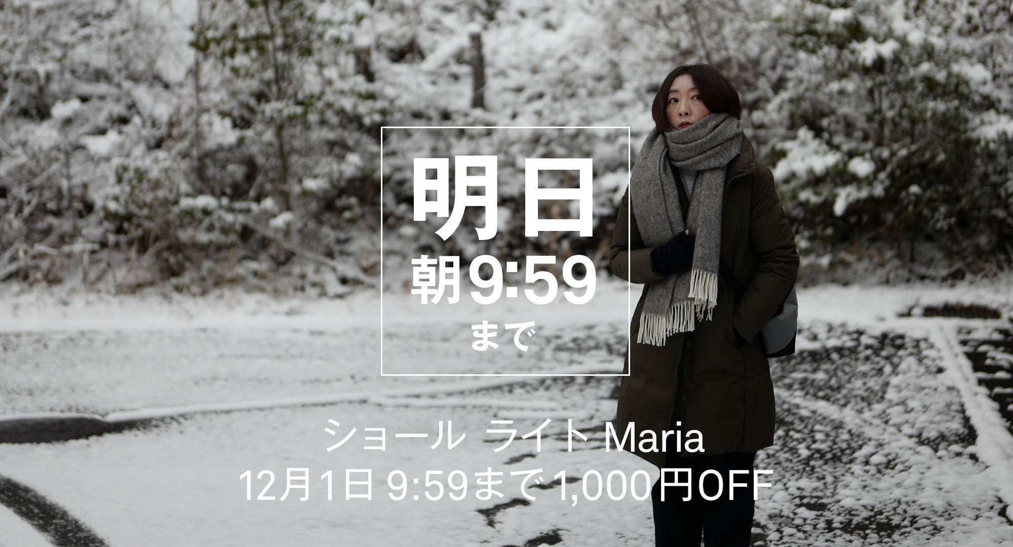 ショールライト　あと1日