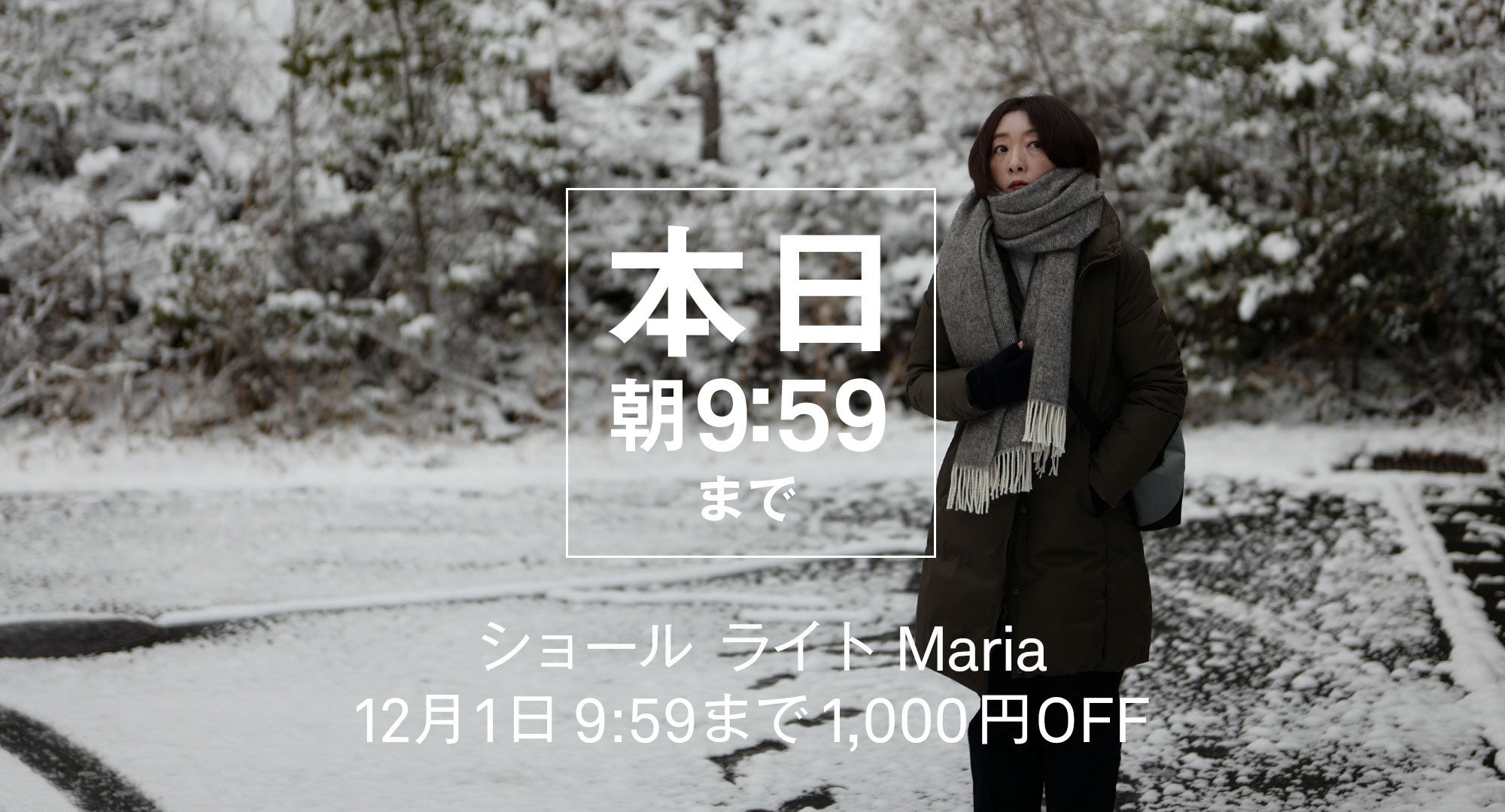 ショールライト　あと1日