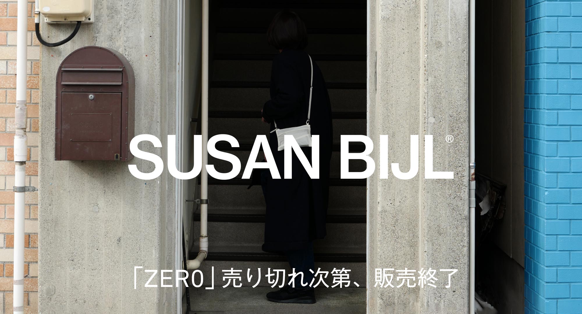 スーザンベル　11月29日