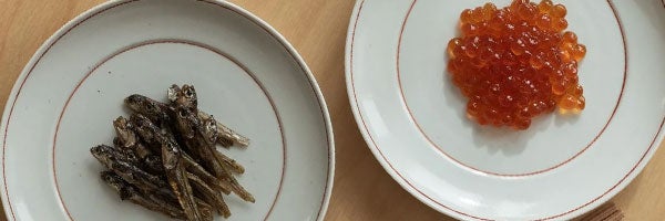 赤輪と白 再入荷