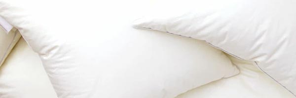 クッション中材再入荷