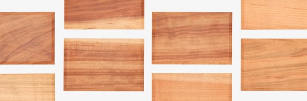 全個体アップ完了