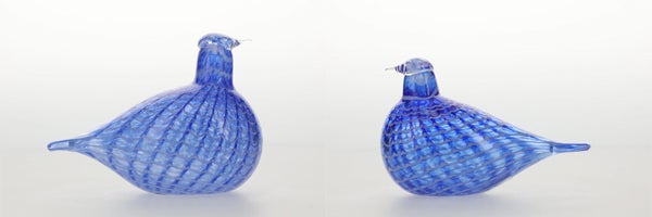 Blue Bird個別追加