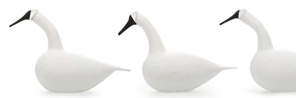 Whooper Swan個別追加