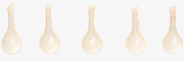 散蓮華の志野を追加