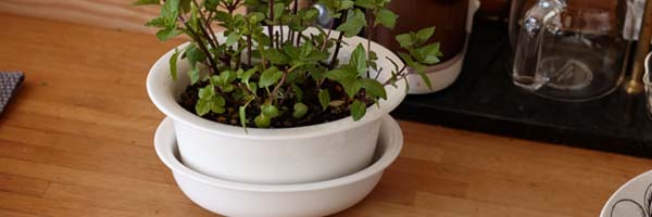 ミドルが人気！