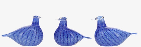 Blue Bird 個別追加