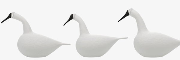 Whooper Swan 個別追加
