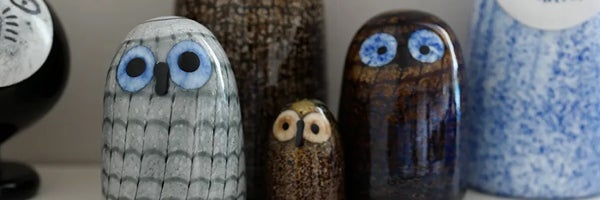 人気のフクロウ群