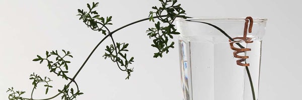 花掛け 次回7月下旬